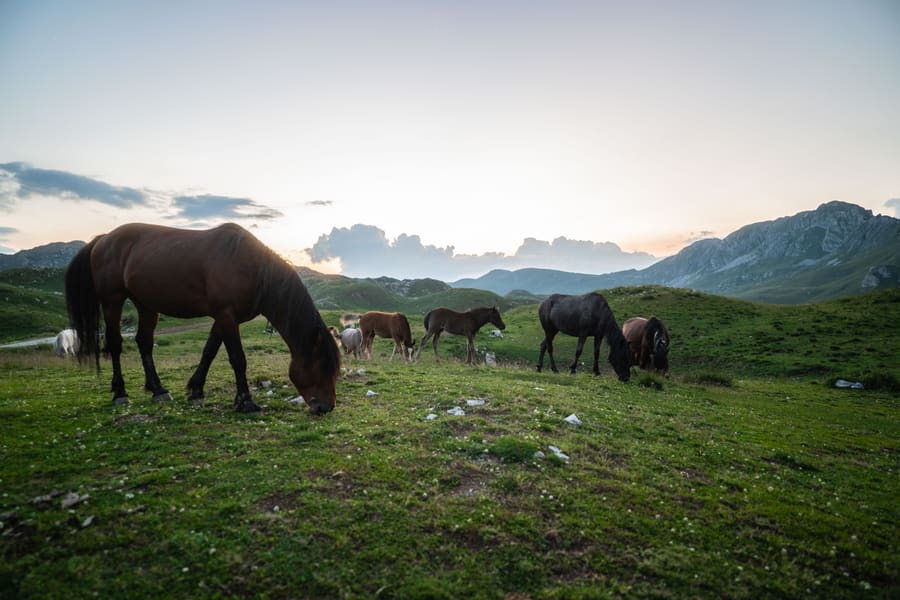 Durmitor, Montenegro